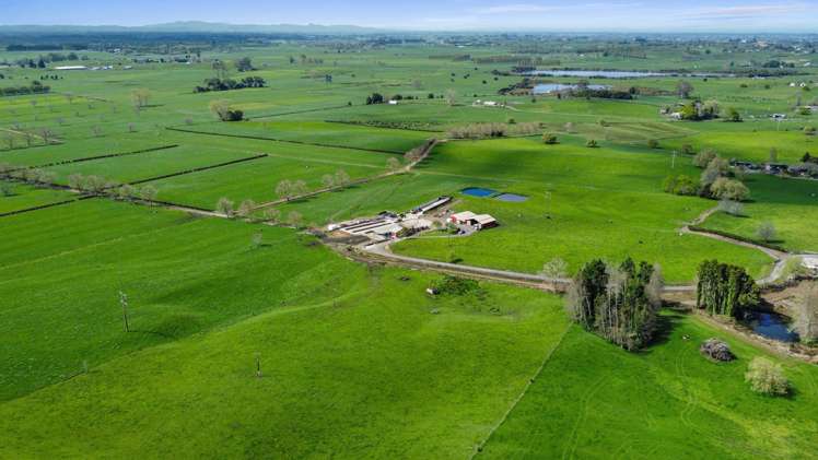 520 Lake Road Horsham Downs_3