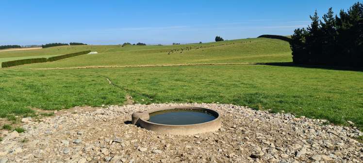 357 Middle Road Gore Surrounds_2