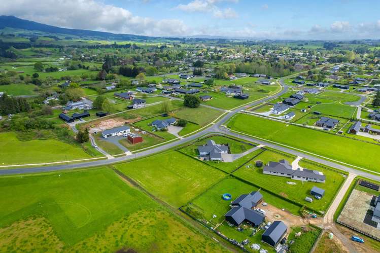 895 Collinson Street Pirongia_9