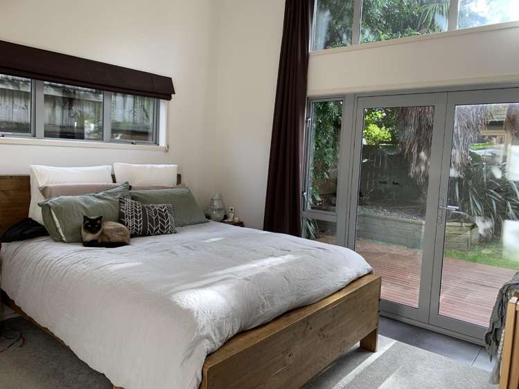 8A Vine Avenue Maungatapu_11