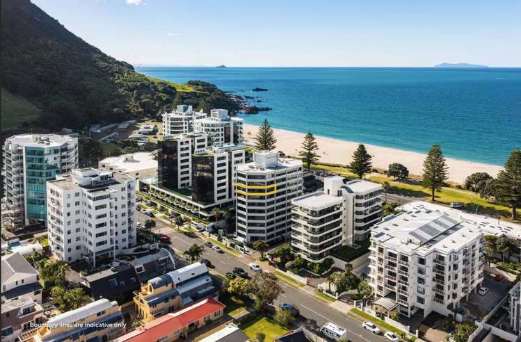8A/15 Maunganui Road_2