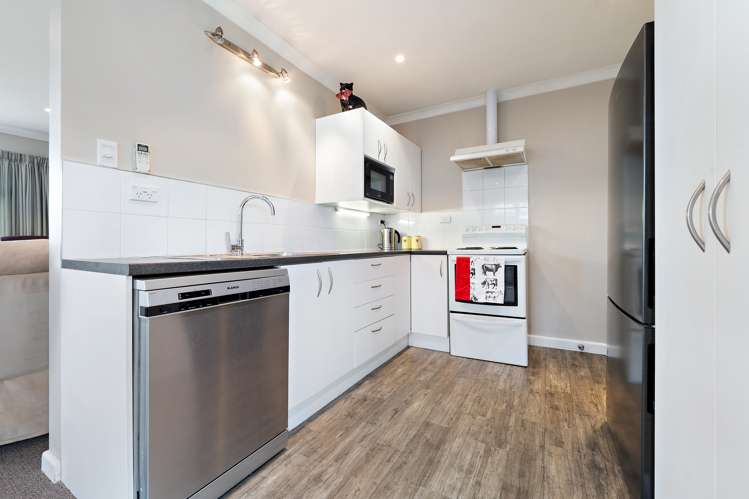 238 Opawa Road Hillsborough_6