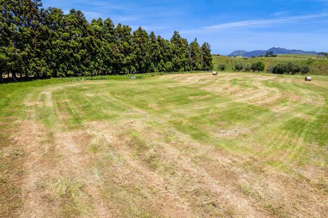 160 Sealy Road Omata_3