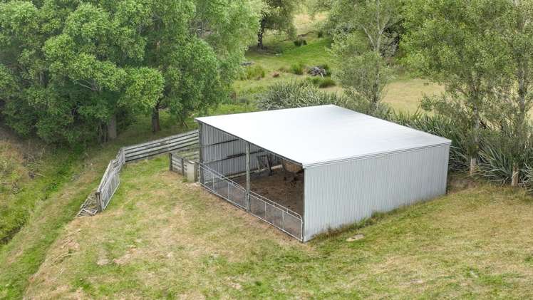 88 Whiterig Road Gore Surrounds_20