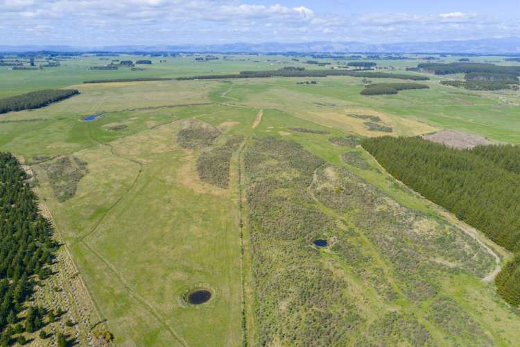 526 Lake Road Himatangi_9