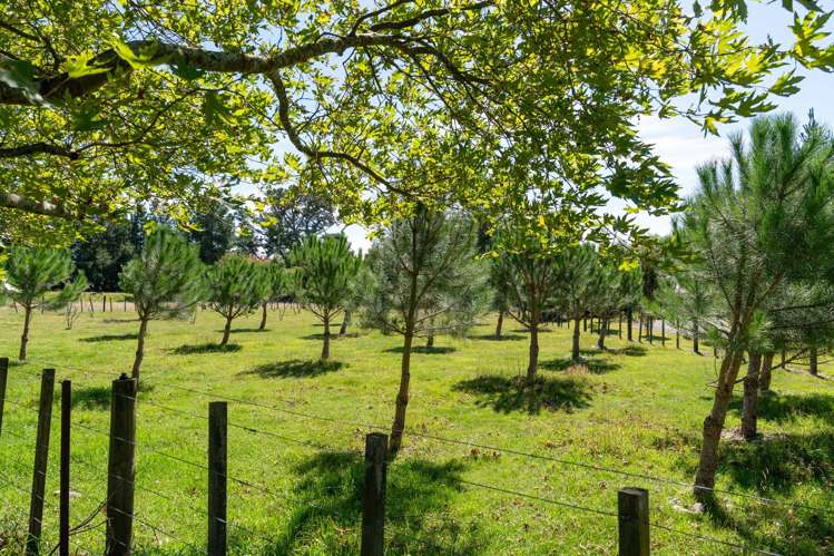 34 Bidwills Cutting Road Greytown_43