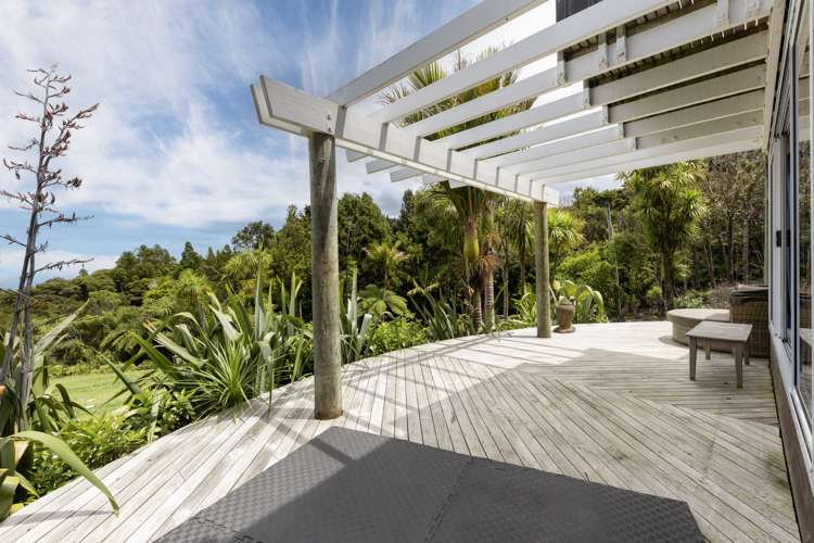 16 La Trobe Track Karekare_7