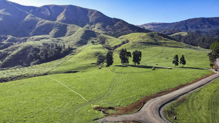 Lot 2, 3, 4,/151 Hill Road Te Aroha_3