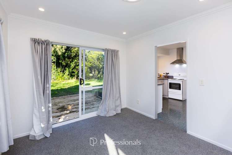 76 Gemstone Drive Birchville_6