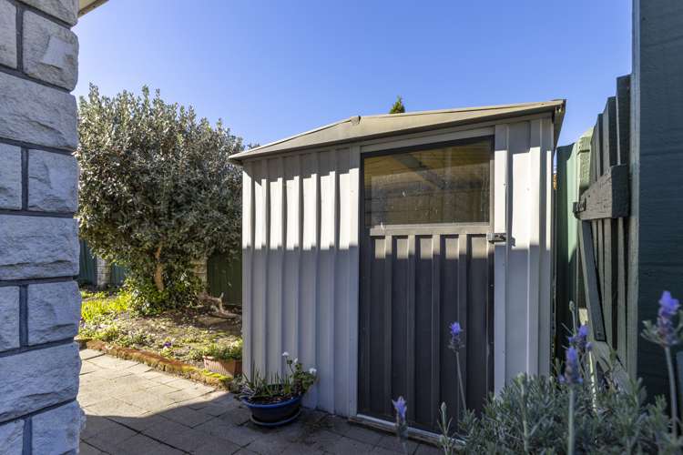 10 Murphys Road Springlands_25