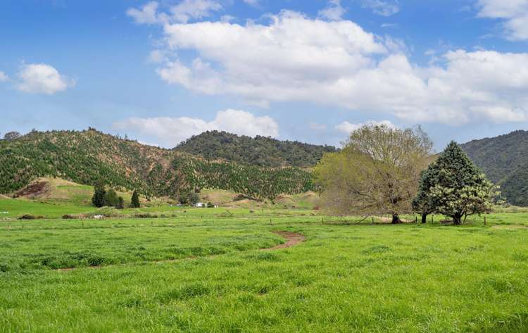 956 Otara Road Opotiki_10