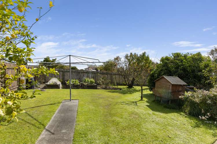 205 Tiro Tiro Road Levin_15