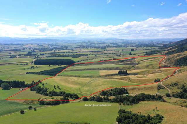 West Otago Grazing Block