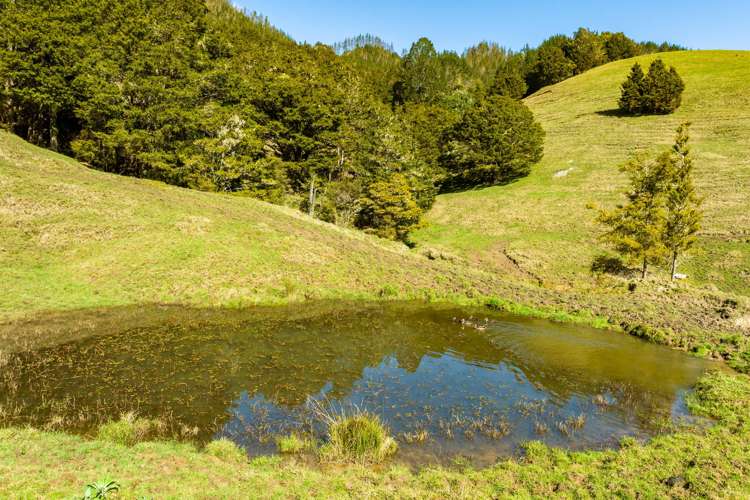 255 O'Carroll Road Maungakaramea_11