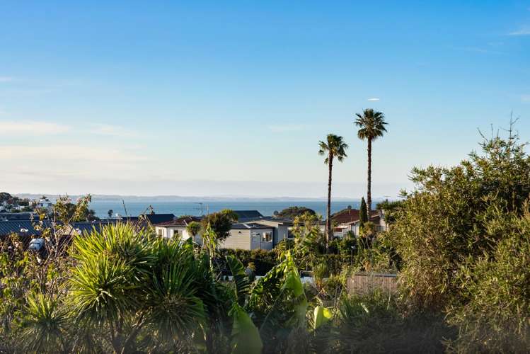 41 Brilliant Street St Heliers_5