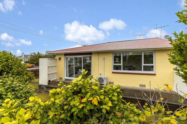 50 Lee Street Blenheim_2