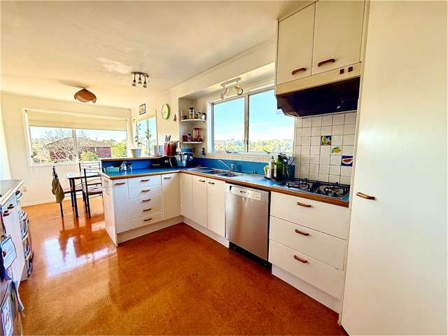 16 Mcfarland Street Remuera_1