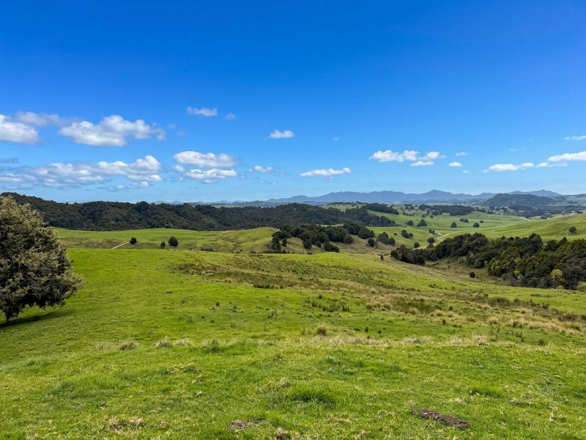 583 Lusk Road Ruawai_0