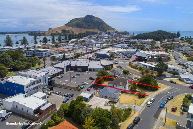 4 Pitau Road Mount Maunganui_1