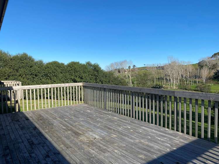 253 Kahikatea Flat Road Dairy Flat_13