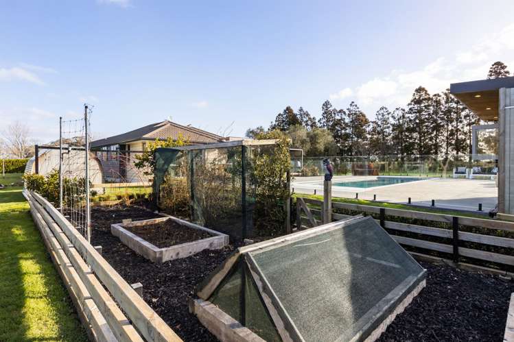 499 Seddon Road Puketaha_25