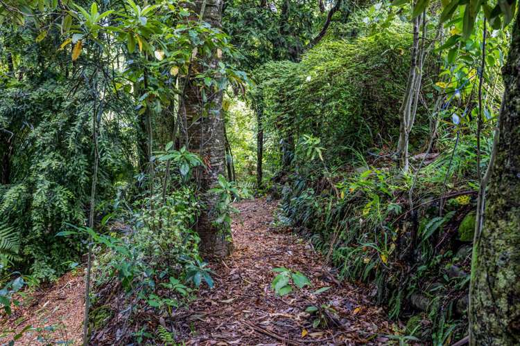 35 Kelly Street Inglewood_38