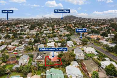 45A Princes Avenue_4