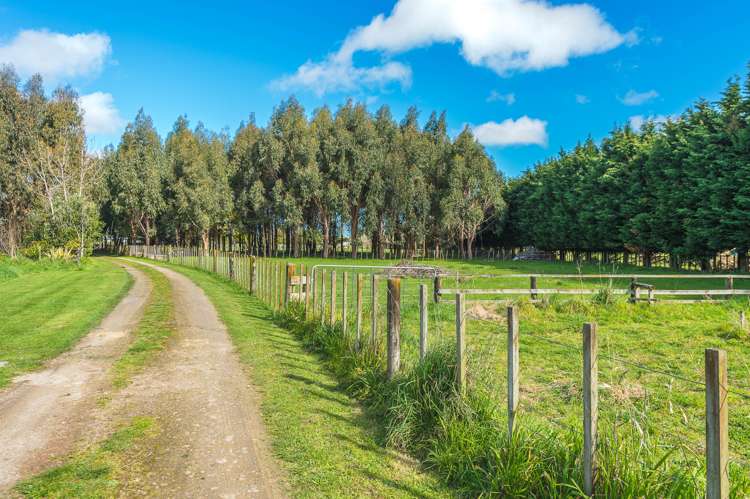 424c Kaikokopu Road Brunswick_25