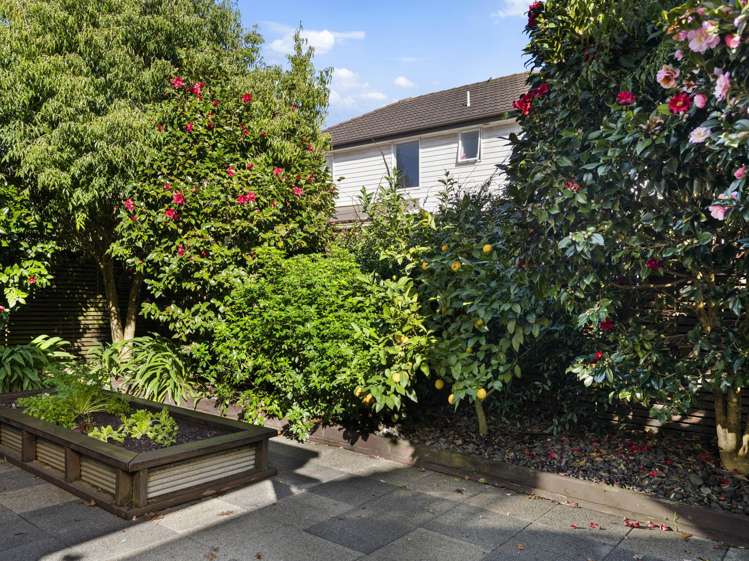 18 Bruce Pulman Drive Takanini_12