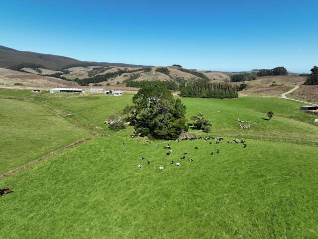 9 Harrison Road Happy Valley_1