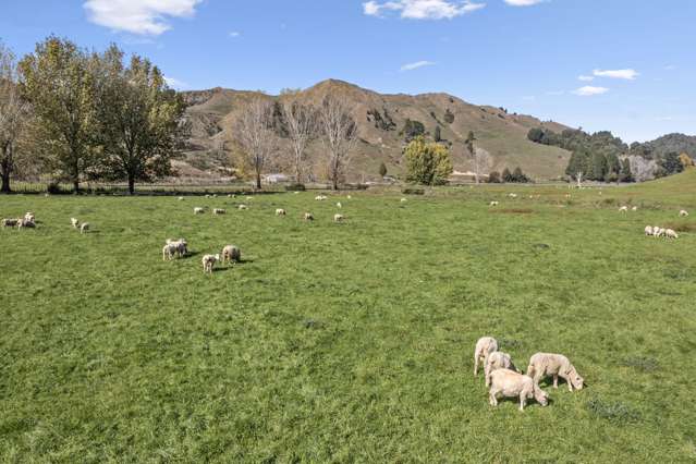 23 Hapurua Road Ohura_1