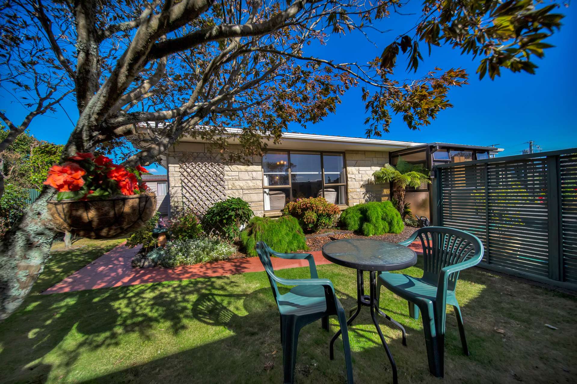 3/39 Ballance Street Lower Vogeltown_0