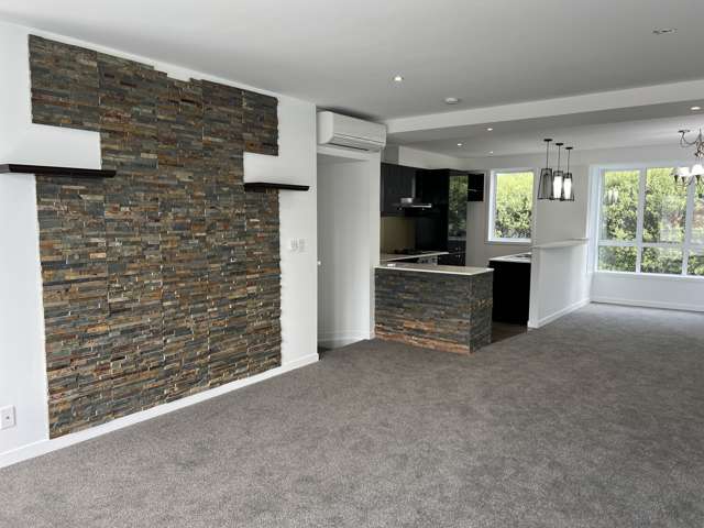 1B Findlay Street Ellerslie_4