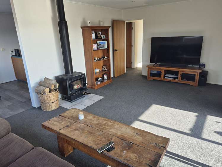 14b Tutanekai Street_3