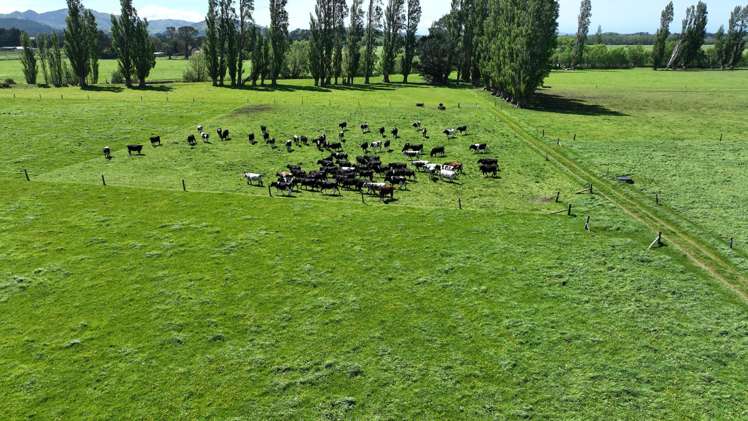 Lot Lot 2/382 Dalefield Road Dalefield/Wakatipu Basin_6