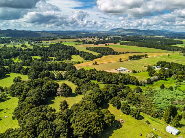 75 Thorpe Rd Kaikohe_4