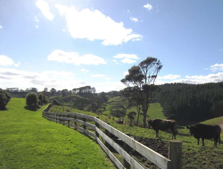 339 Stoney Creek Road Kaukapakapa_17