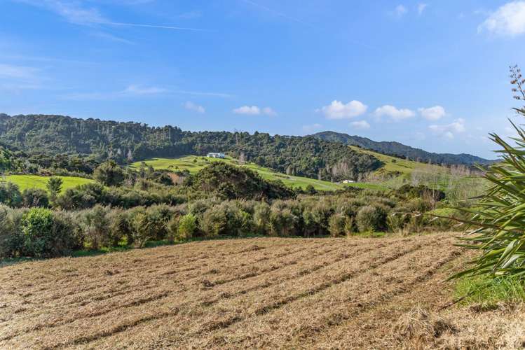 14 Pa Hill Lane Mangawhai_15