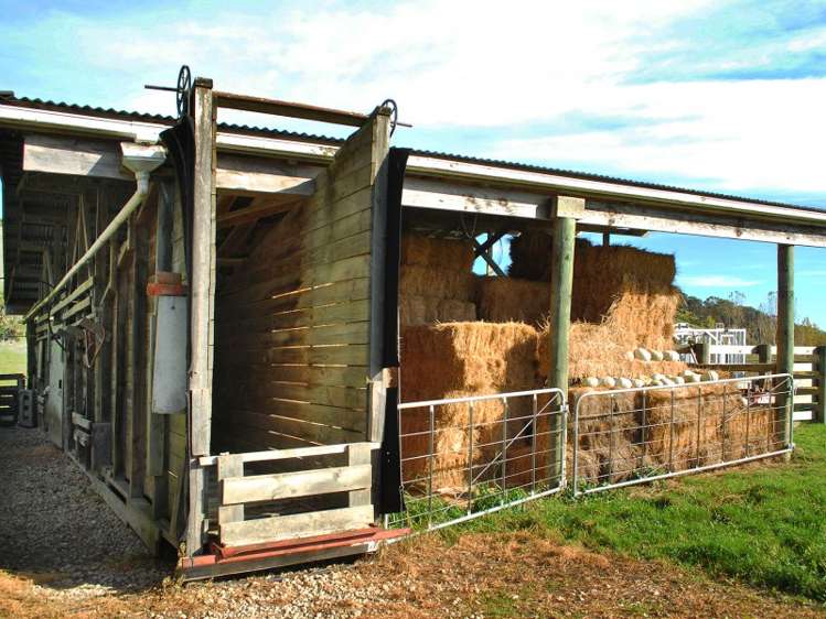 373 Lees Pakaraka Road Te Whiti_23