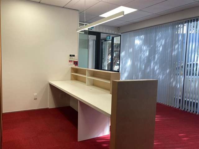 8 Raroa Road Hutt Central_4