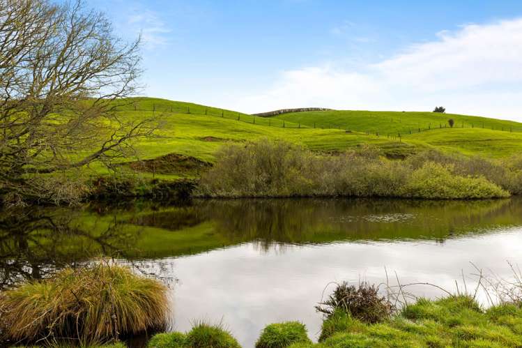 310 Matarawa Road Kinleith_8