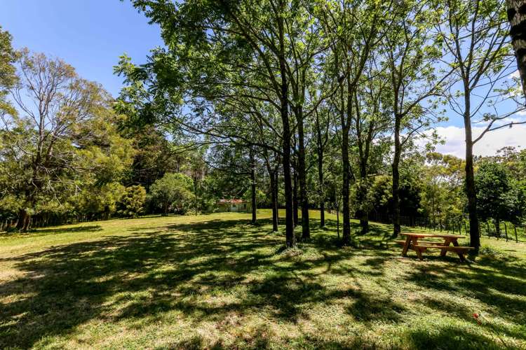 248 Surrey Hill Road Kaitake_15