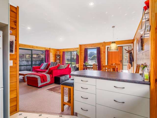 12 Hoyte Place Pukehangi_3