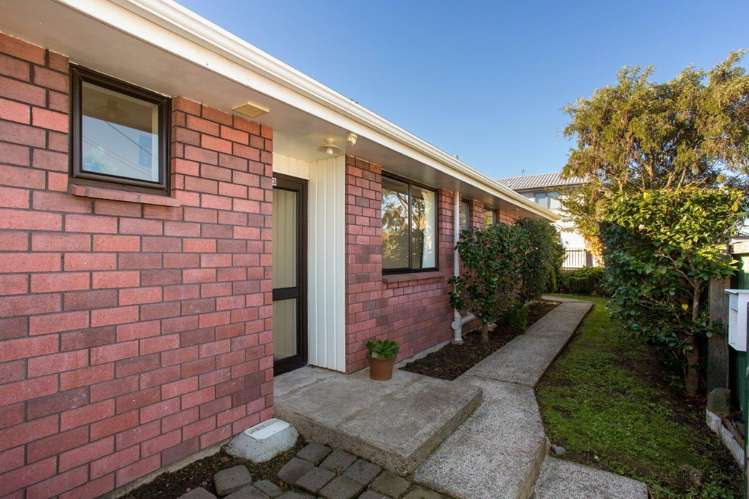 3 Millar Street Sydenham_13