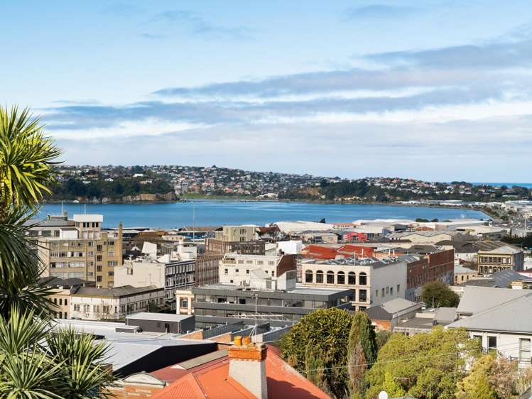 37 Canongate Dunedin Central_17