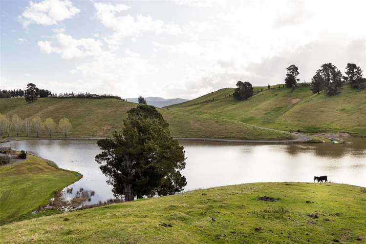 274 Delta Lake Heights Renwick_40