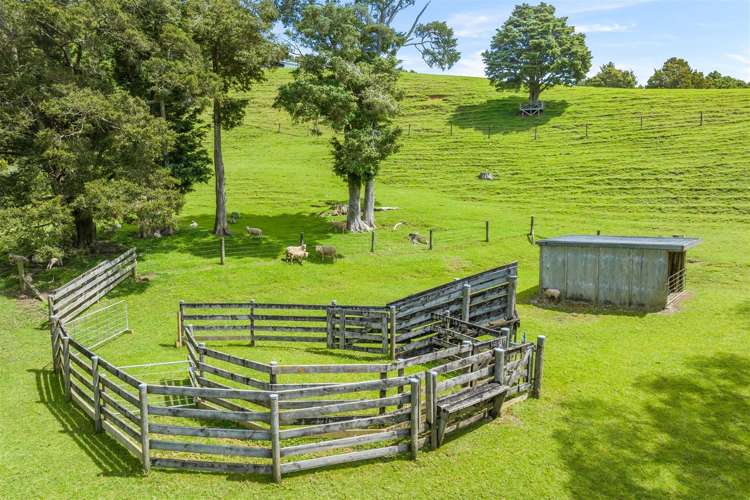 269 Tomarata Valley Road Wellsford_26