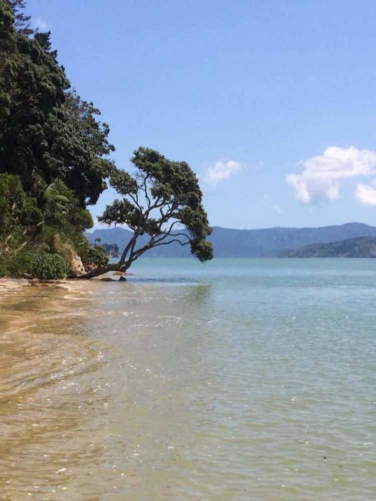 202c Big Bay Road Manukau Heads_6