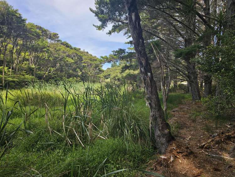 654 Whangaruru North Road Whangaruru_7