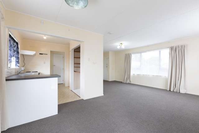 29 Rata Street Roslyn_2